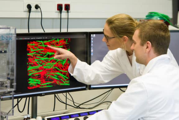 Ein neues Gel-Material dient Nervenzellen als Leitsystem: Dr.-Ing. Laura De Laporte und Doktorand Jonas Rose analysieren anhand einer Mikroskop-Aufnahme gemeinsam die Ausrichtung der Nervenzellen (rot) entlang der Pfade, welche durch Gel-Stäbchen (grün) gebildet werden.
Foto: J. Hillmer_DWI