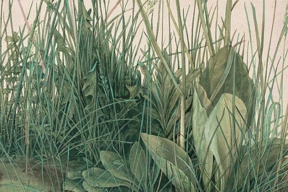 Albrecht Dürer: Das große Rasenstück, 1503, Aquarell und Deckfarben, mit Deckweiß gehöht,
auf Karton aufgezogen, 40,8 × 31,5 cm, Albertina (Wien)