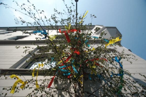 Maibaum Stadt Aachen_Andreas Herrmann