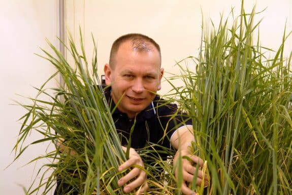 Prof. Dr. Uwe Conrath, Institut fr Pflanzenphysiologie,Abteilung Biochemie der Pflanzen, der RWTH Aachen Foto_RWTH__Peter Winandy