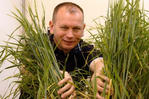 Prof. Dr. Uwe Conrath, Institut fr Pflanzenphysiologie,Abteilung Biochemie der Pflanzen, der RWTH Aachen_Foto_Peter Winandy