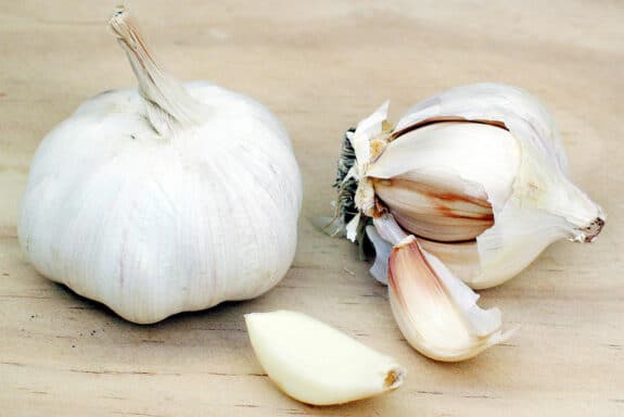 1280px-Garlic