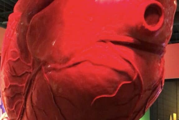 Stadt Aachen / Elena Reinders