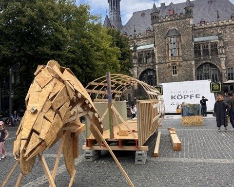 Pferd im Aufbau_Stadt Aachen